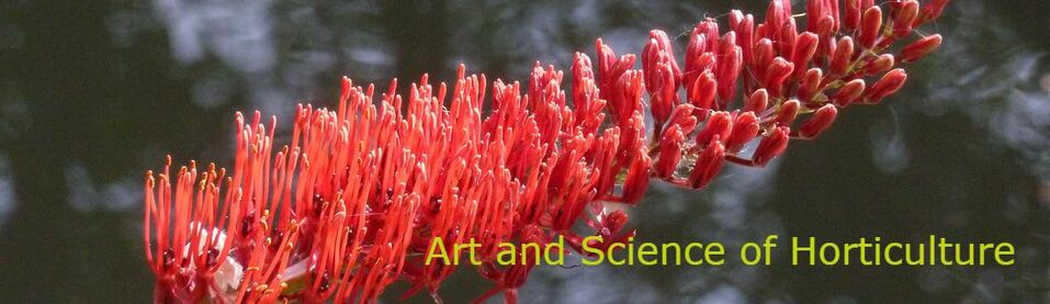 Art and Science of Horticulture